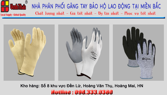 Công ty phân phối găng tay bảo hộ lao động ECO3D