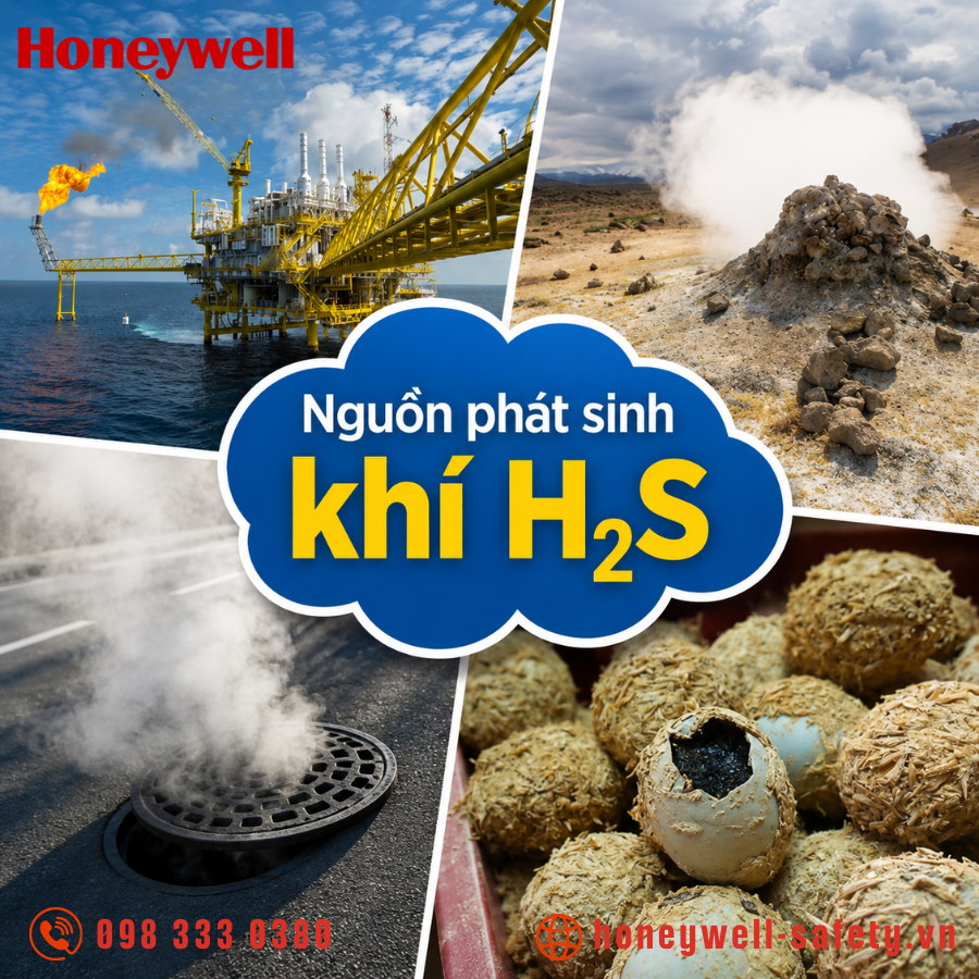 Nguồn phát sinh khí H2S
